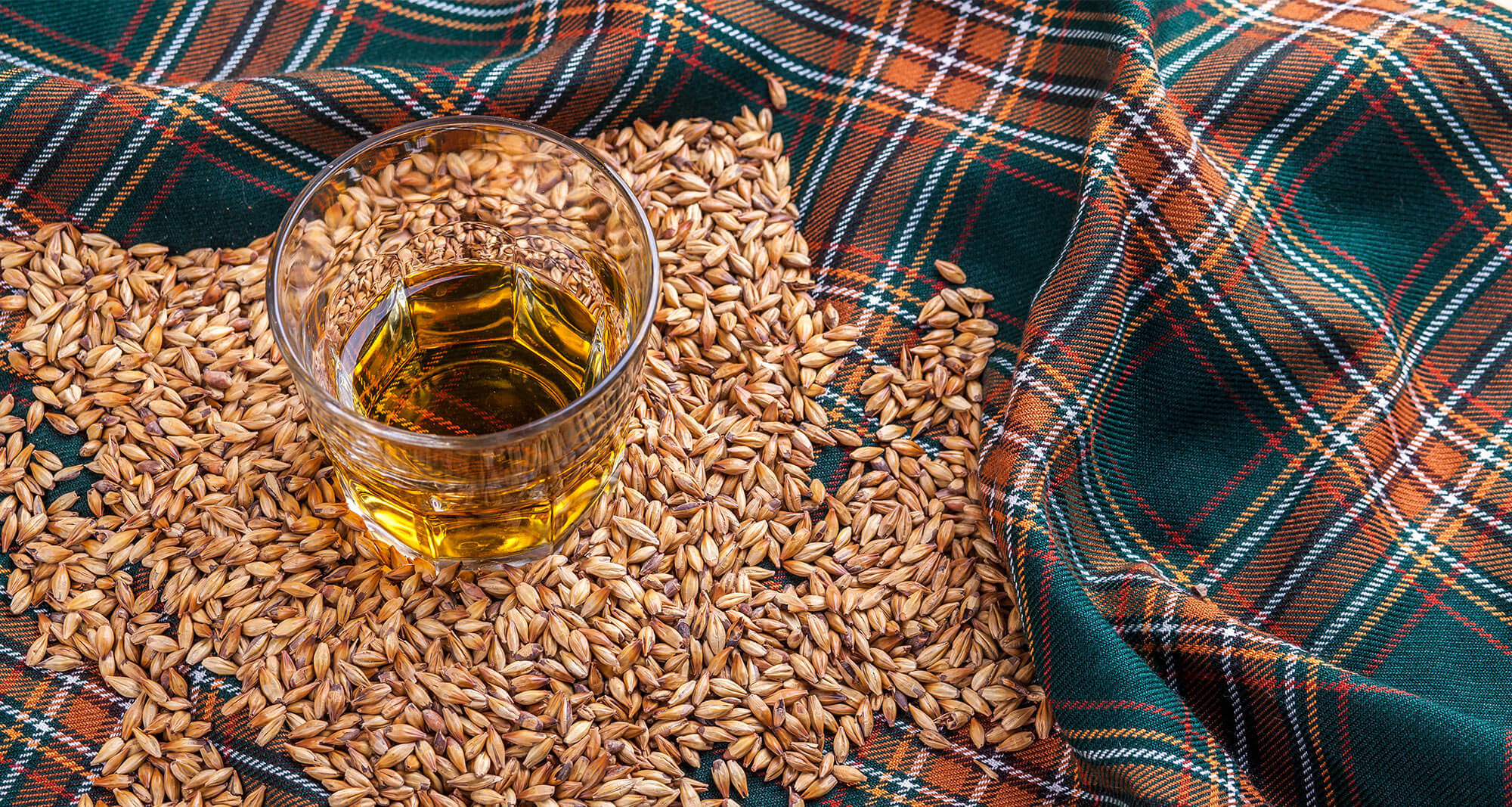 Whiskey on a tartan surrounded by barley grains