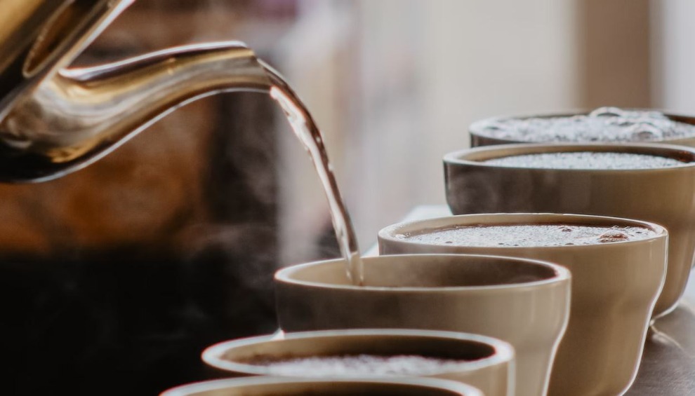Coffee steeping during coffee cupping 