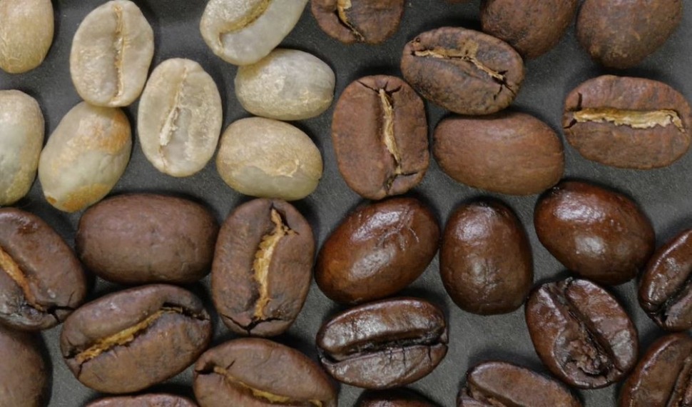 Roasted coffee beans in different styles 