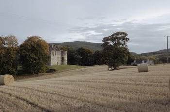 A barley field in Speyside of the Highlands