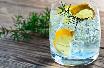 low ball gin with lemon